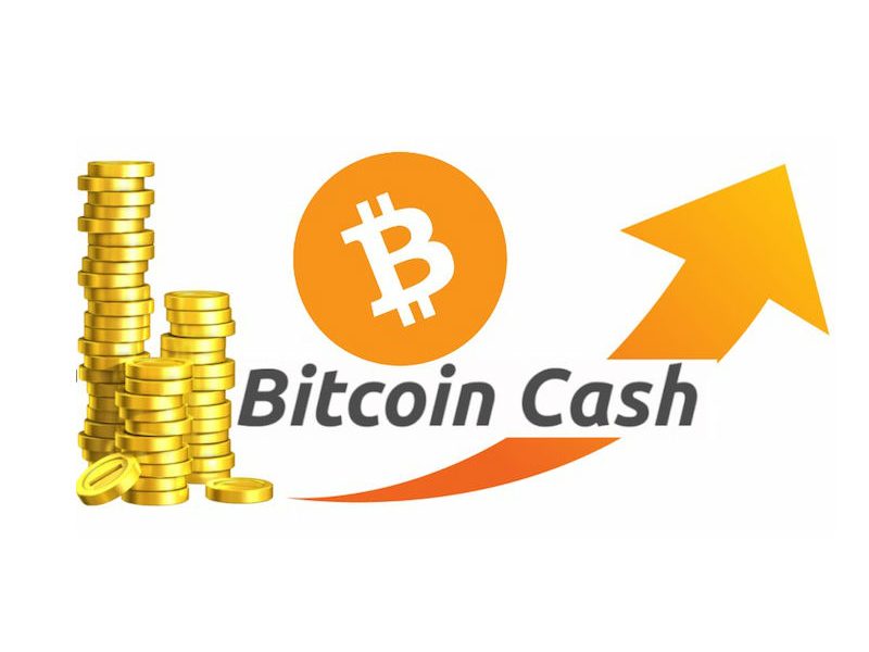 Bullish on bitcoin cash