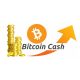 Bullish on bitcoin cash