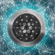 Cardano ADA Cryptocurrency Coin